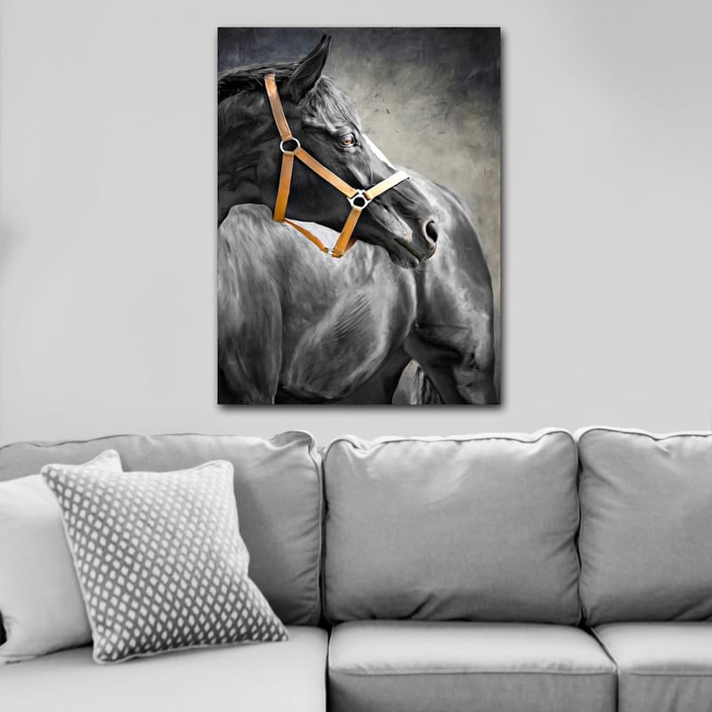 Canvastavla 70x100 cm - Majestätisk häst med ett brunt träns som fångar betraktarens uppmärksamhet - Svart / Brunt / Grått - Inredning - Tavlor & posters - Canvastavla