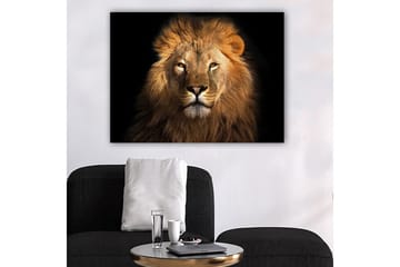 Canvastavla 70x100 cm - Majestätisk lejonhuvud med intensiv blick - Guld / Brun / Svart - Inredning - Tavlor & posters - Canvastavla