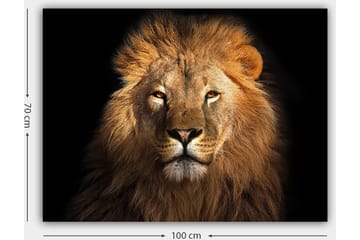 Canvastavla 70x100 cm - Majestätisk lejonhuvud med intensiv blick - Guld / Brun / Svart - Inredning - Tavlor & posters - Canvastavla