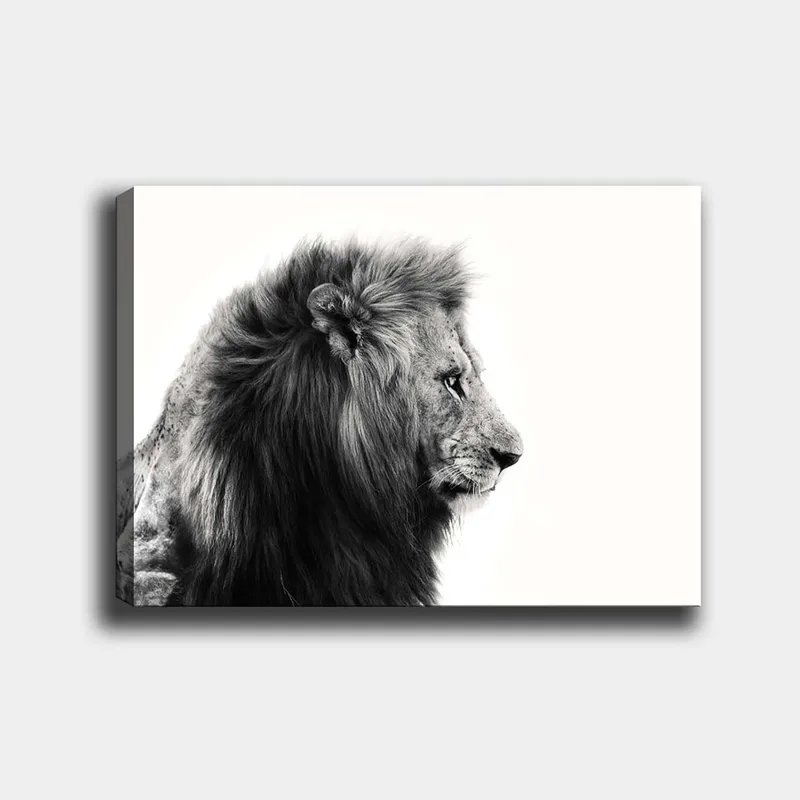 Canvastavla 70x100 cm - Majestätisk lejonprofil i svartvitt som utstrålar styrka och elegans - Svart / Vit - Inredning - Tavlor & posters - Canvastavla