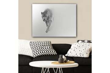 Canvastavla 70x100 cm - Majestätisk leopard som rör sig framåt i en stilren och minimalistisk komposition - Svart / Grå - Inredning - Tavlor & posters - Canvastavla