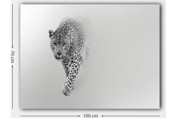 Canvastavla 70x100 cm - Majestätisk leopard som rör sig framåt i en stilren och minimalistisk komposition - Svart / Grå - Inredning - Tavlor & posters - Canvastavla