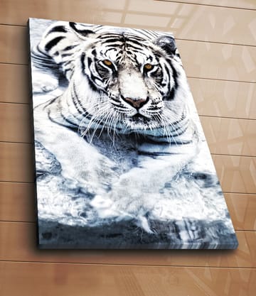 Canvastavla 70x100 cm - Majestätisk vit tiger som ligger i vattnet - Vit / Svart / Grå - Inredning - Tavlor & posters - Canvastavla