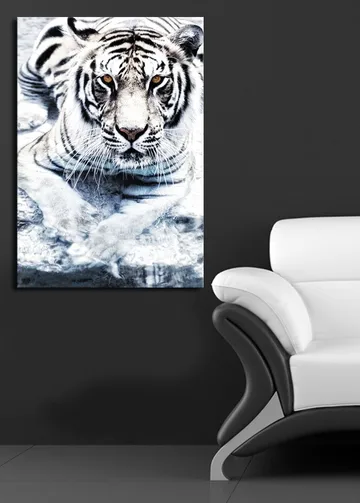 Canvastavla 70x100 cm - Majestätisk vit tiger som ligger i vattnet - Vit / Svart / Grå - Inredning - Tavlor & posters - Canvastavla