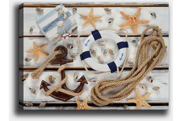 Canvastavla 70x100 cm - Maritimt stilleben med snäckor, stjärnformade sjöstjärnor och en livboj - Beige / Blå / Brun - Inredning - Tavlor & posters - Canvastavla