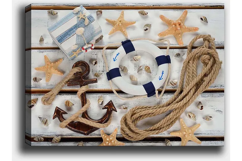 Canvastavla 70x100 cm - Maritimt stilleben med snäckor, stjärnformade sjöstjärnor och en livboj - Beige / Blå / Brun - Inredning - Tavlor & posters - Canvastavla