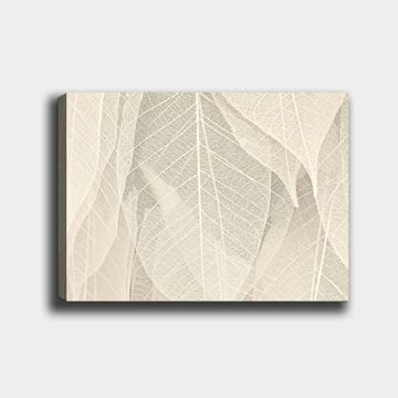 Canvastavla 70x100 cm - Mjuk och subtil komposition av genomskinliga löv som skapar en känsla av lugn och harmoni - Ljusbeige / Vit - Inredning - Tavlor & posters - Canvastavla