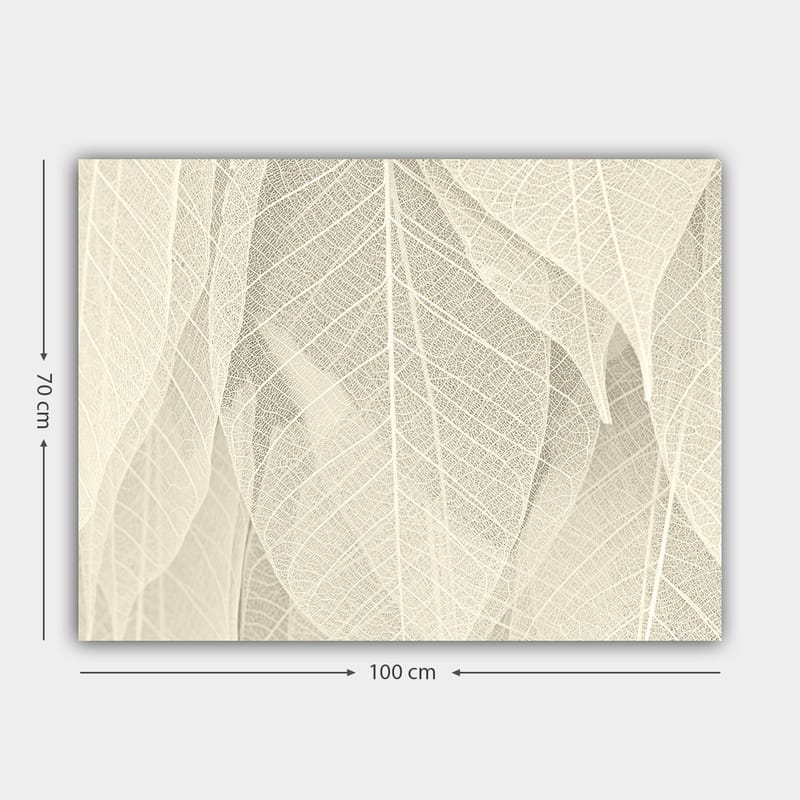 Canvastavla 70x100 cm - Mjuk och subtil komposition av genomskinliga löv som skapar en känsla av lugn och harmoni - Ljusbeige / Vit - Inredning - Tavlor & posters - Canvastavla