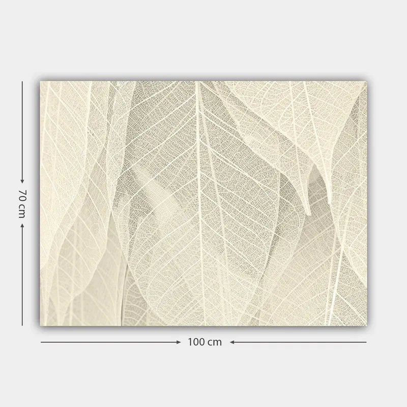 Canvastavla 70x100 cm - Mjuk och subtil komposition av genomskinliga löv som skapar en känsla av lugn och harmoni - Ljusbeige / Vit - Inredning - Tavlor & posters - Canvastavla