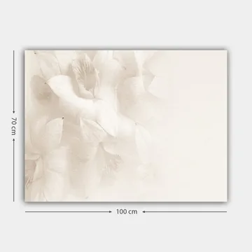Canvastavla 70x100 cm - Mjuka blommor i subtila nyanser av vitt - Vit / Ljusbeige - Inredning - Tavlor & posters - Canvastavla