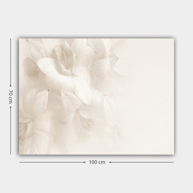 Canvastavla 70x100 cm - Mjuka blommor i subtila nyanser av vitt - Vit / Ljusbeige - Inredning - Tavlor & posters - Canvastavla