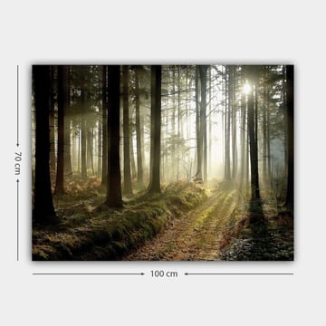 Canvastavla 70x100 cm - Mystisk skog med solstrålar som bryter genom träden - Mörkgrön / Ljusgrön / Brun - Inredning - Tavlor & posters - Canvastavla
