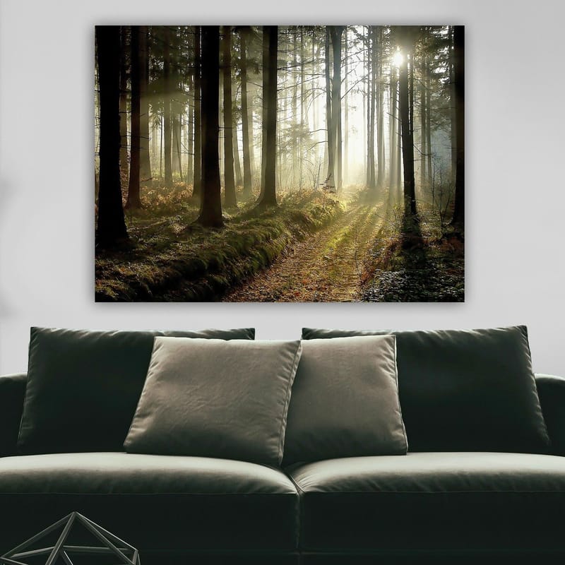 Canvastavla 70x100 cm - Mystisk skog med solstrålar som bryter genom träden - Mörkgrön / Ljusgrön / Brun - Inredning - Tavlor & posters - Canvastavla