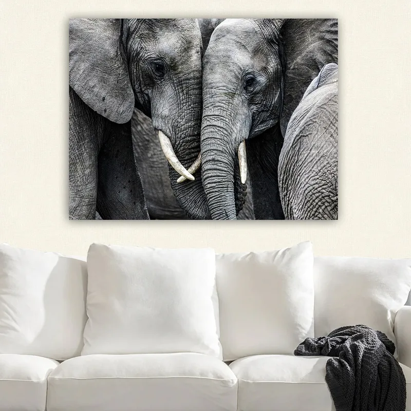 Canvastavla 70x100 cm - Närbild av elefanter som visar deras ansikten och betar i en intim sammanslutning - Grå / Vit - Inredning - Tavlor & posters - Canvastavla