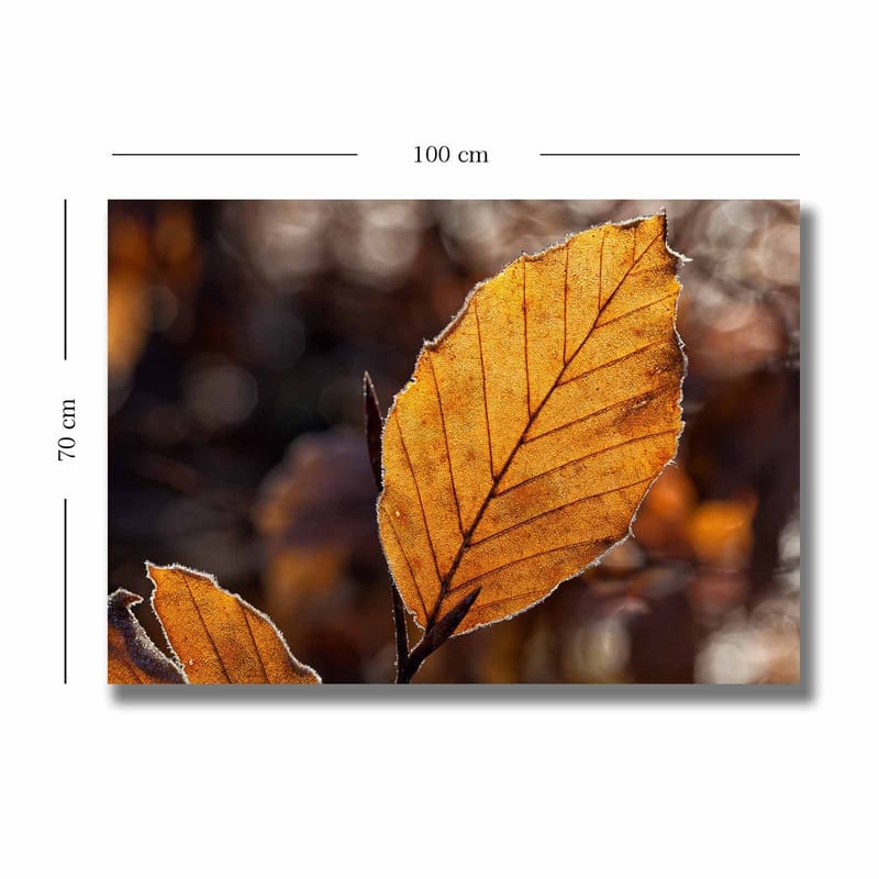 Canvastavla 70x100 cm - Närbild av ett gyllene höstlöv med detaljerade ådringar - Guldorange / Brun - Inredning - Tavlor & posters - Canvastavla