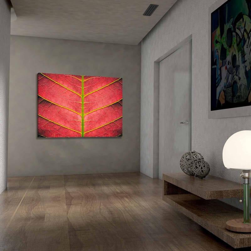 Canvastavla 70x100 cm - Närbild av ett rödaktigt blad med detaljerade ådror - Röd / Grön - Inredning - Tavlor & posters - Canvastavla