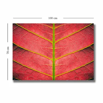 Canvastavla 70x100 cm - Närbild av ett rödaktigt blad med detaljerade ådror - Röd / Grön - Inredning - Tavlor & posters - Canvastavla
