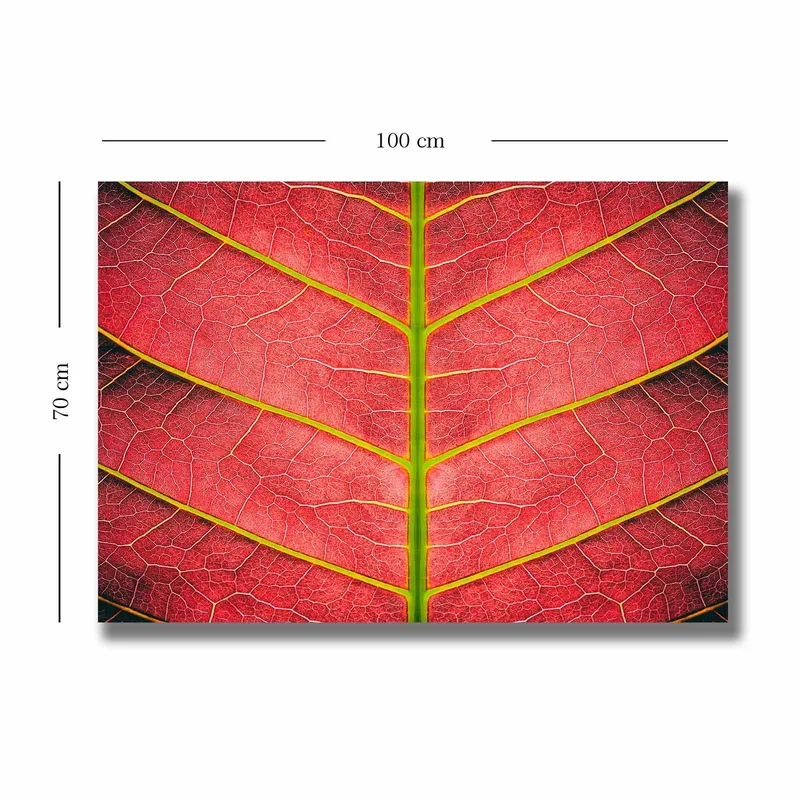 Canvastavla 70x100 cm - Närbild av ett rödaktigt blad med detaljerade ådror - Röd / Grön - Inredning - Tavlor & posters - Canvastavla