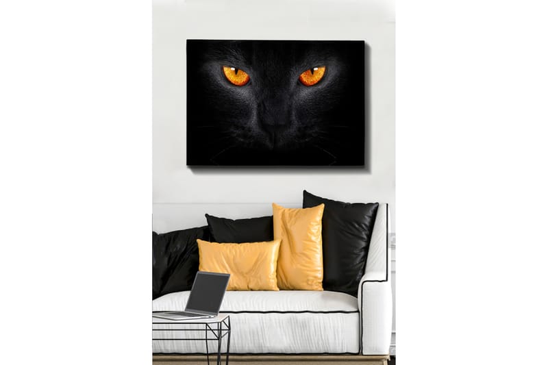 Canvastavla 70x100 cm - Närbild av ett svart katthuvud med intensiva ögon, Svart / Orange