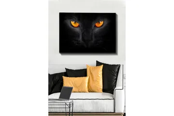 Canvastavla 70x100 cm - Närbild av ett svart katthuvud med intensiva ögon - Svart / Orange - Inredning - Tavlor & posters - Canvastavla