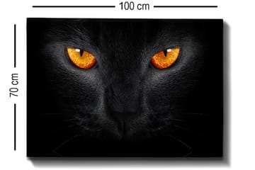 Canvastavla 70x100 cm - Närbild av ett svart katthuvud med intensiva ögon - Svart / Orange - Inredning - Tavlor & posters - Canvastavla