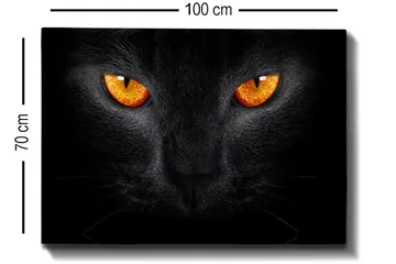Canvastavla 70x100 cm - Närbild av ett svart katthuvud med intensiva ögon - Svart / Orange - Inredning - Tavlor & posters - Canvastavla