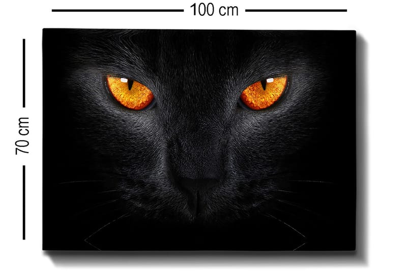 Canvastavla 70x100 cm - Närbild av ett svart katthuvud med intensiva ögon - Svart / Orange - Inredning - Tavlor & posters - Canvastavla