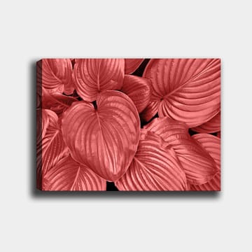 Canvastavla 70x100 cm - Närbild av stiliga, röda blad med tydliga ådringar - Röd / Svart - Inredning - Tavlor & posters - Canvastavla