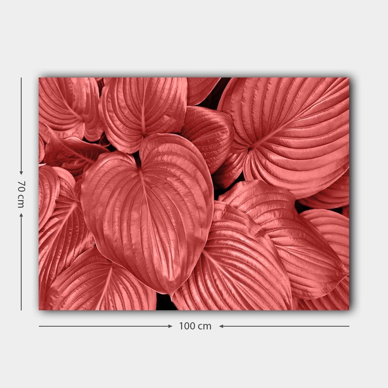 Canvastavla 70x100 cm - Närbild av stiliga, röda blad med tydliga ådringar - Röd / Svart - Inredning - Tavlor & posters - Canvastavla