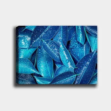 Canvastavla 70x100 cm - Närbild av vattendroppar på gröna blad som skapar en fräsch och livfull känsla - Blå / Turkos - Inredning - Tavlor & posters - Canvastavla