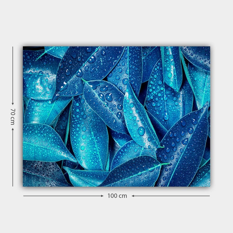 Canvastavla 70x100 cm - Närbild av vattendroppar på gröna blad som skapar en fräsch och livfull känsla - Blå / Turkos - Inredning - Tavlor & posters - Canvastavla