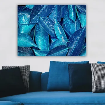 Canvastavla 70x100 cm - Närbild av vattendroppar på gröna blad som skapar en fräsch och livfull känsla - Blå / Turkos - Inredning - Tavlor & posters - Canvastavla