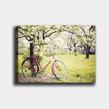 Canvastavla 70x100 cm - Röd cykel stående under blommande träd i en grönskande miljö - Röd / Grön / Vit - Inredning - Tavlor & posters - Canvastavla