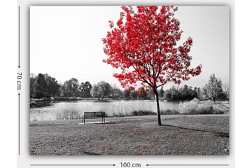 Canvastavla 70x100 cm - Röd lövträd i en svartvit parkmiljö vid en sjö - Röd / Svart / Grå - Inredning - Tavlor & posters - Canvastavla