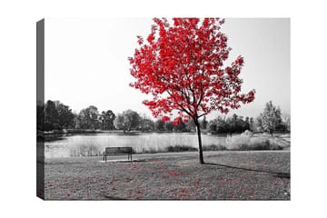 Canvastavla 70x100 cm - Röd lövträd i en svartvit parkmiljö vid en sjö - Röd / Svart / Grå - Inredning - Tavlor & posters - Canvastavla