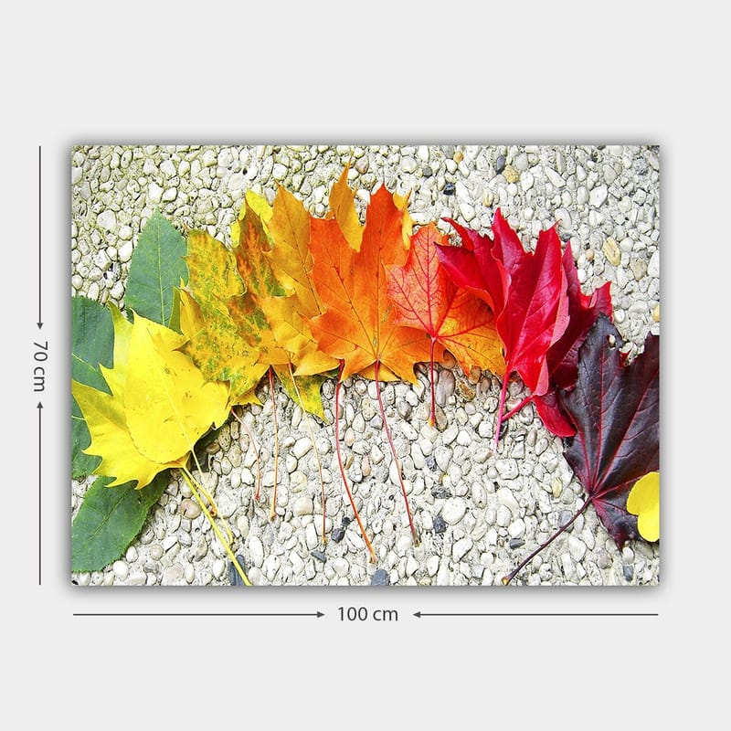 Canvastavla 70x100 cm - Rad av färgglada höstlöv i olika nyanser som visar naturens skönhet - Röd / Orange / Gul - Inredning - Tavlor & posters - Canvastavla