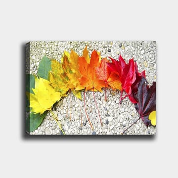 Canvastavla 70x100 cm - Rad av färgglada höstlöv i olika nyanser som visar naturens skönhet - Röd / Orange / Gul - Inredning - Tavlor & posters - Canvastavla