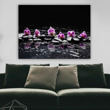 Canvastavla 70x100 cm - Rad av lila orkidéer som vilar på svarta stenar med reflektioner i vatten - Lila / Svart - Inredning - Tavlor & posters - Canvastavla