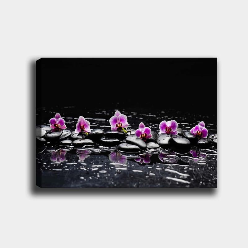 Canvastavla 70x100 cm - Rad av lila orkidéer som vilar på svarta stenar med reflektioner i vatten - Lila / Svart - Inredning - Tavlor & posters - Canvastavla