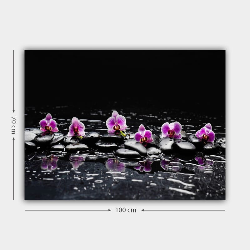 Canvastavla 70x100 cm - Rad av lila orkidéer som vilar på svarta stenar med reflektioner i vatten - Lila / Svart - Inredning - Tavlor & posters - Canvastavla