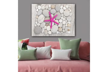 Canvastavla 70x100 cm - Rosa sjöstjärna omgiven av grå och vita stenar - Grå / Vit / Rosa - Inredning - Tavlor & posters - Canvastavla