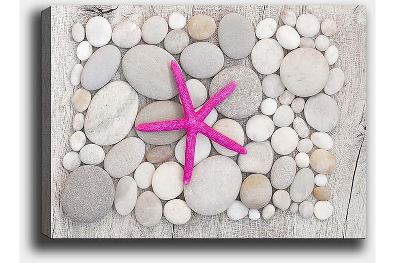 Canvastavla 70x100 cm - Rosa sjöstjärna omgiven av grå och vita stenar - Grå / Vit / Rosa - Inredning - Tavlor & posters - Canvastavla