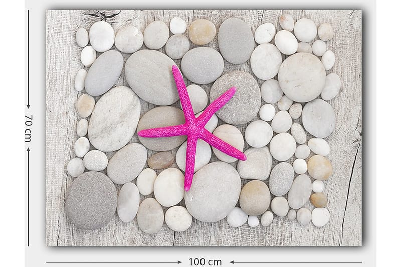 Canvastavla 70x100 cm - Rosa sjöstjärna omgiven av grå och vita stenar - Grå / Vit / Rosa - Inredning - Tavlor & posters - Canvastavla