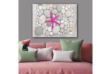 Canvastavla 70x100 cm - Rosa sjöstjärna omgiven av grå och vita stenar - Grå / Vit / Rosa - Inredning - Tavlor & posters - Canvastavla