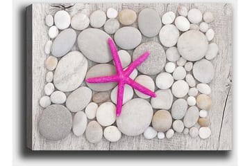 Canvastavla 70x100 cm - Rosa sjöstjärna omgiven av grå och vita stenar - Grå / Vit / Rosa - Inredning - Tavlor & posters - Canvastavla