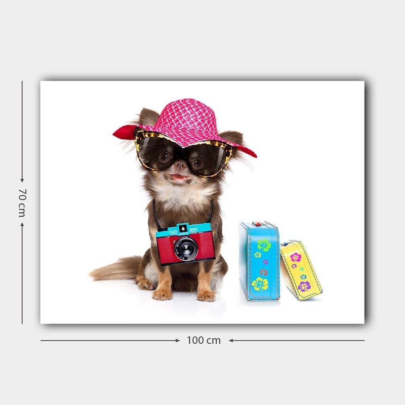 Canvastavla 70x100 cm - Söt chihuahua klädd i solhatt och solglasögon, med en kamera hängande runt halsen - Rosa / Blå / Röd - Inredning - Tavlor & posters - Canvastavla