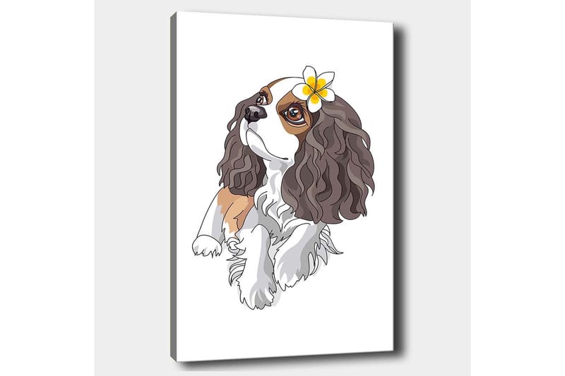 Canvastavla 70x100 cm - Söt hund med lockigt hår och en blomma i örat - Brun / Vit / Svart - Inredning - Tavlor & posters - Canvastavla