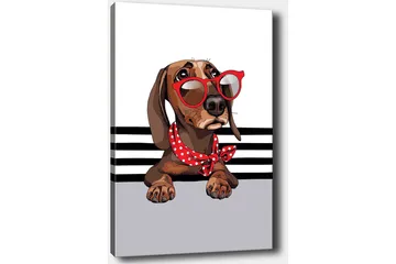 Canvastavla 70x100 cm - Söt hund med solglasögon och en röd prickig scarf - Brun / Röd / Grå - Inredning - Tavlor & posters - Canvastavla