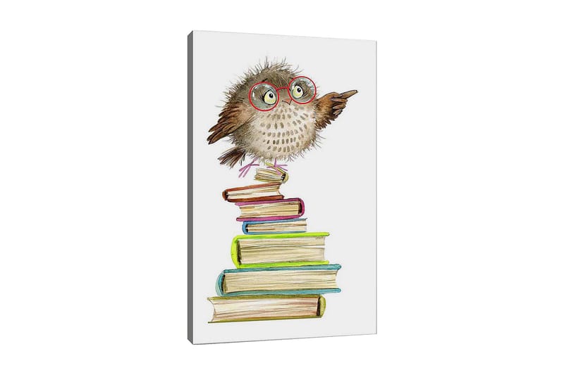 Canvastavla 70x100 cm - Söt uggla med glasögon som pekar, sittande på en hög av färgglada böcker, Brun / Grön / Blå