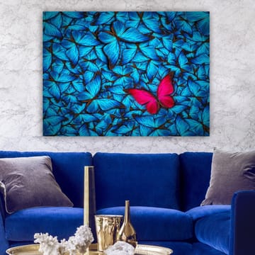 Canvastavla 70x100 cm - Samling av blå fjärilar med en framträdande rosa fjäril i mitten - Blå / Rosa - Inredning - Tavlor & posters - Canvastavla